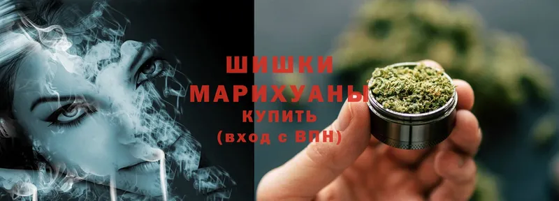 где купить наркоту  Светлоград  МАРИХУАНА SATIVA & INDICA 